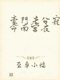 豪门老公宠妻如命南宫夜