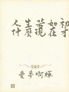 人生若如初见为什么现在才播出