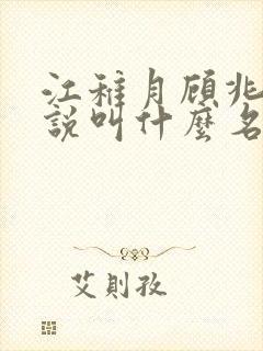 江稚月顾兆野小说叫什么名字