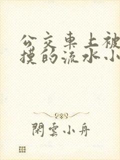 公交车上被公公摸的流水小说
