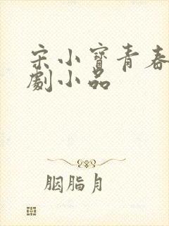 宋小宝青春偶像剧小品