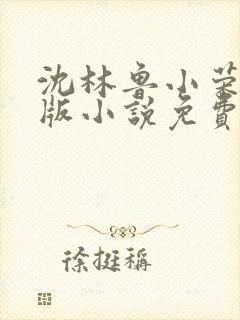 沈林鲁小荣完整版小说免费阅读