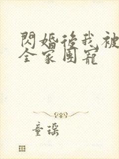 闪婚后我被老公全家团宠