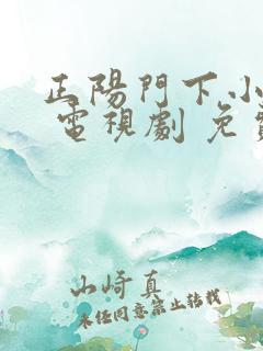 正阳门下小女人 电视剧 免费