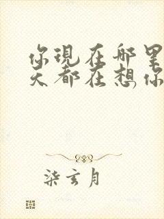 你现在哪里我每天都在想你什么歌