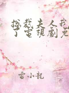 总裁夫人我当腻了电视剧免费观看