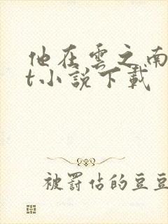 他在云之南txt小说下载