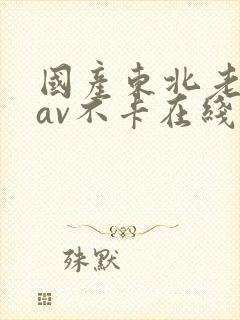 国产东北老女人av不卡在线