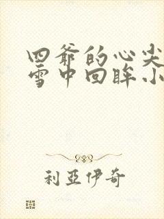 四爷的心尖宠妃雪中回眸小说免费完本