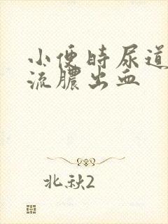 小便时尿道刺痛流脓出血
