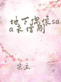 地下偶像sana未增删