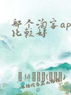 哪个淘客app比较好