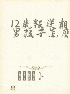 12岁叛逆期的男孩子怎么去引导