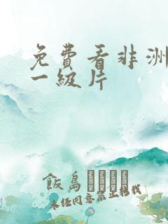 免费看非洲黑人一级片