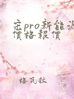 宋pro新能源价格报价