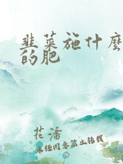韭菜施什么肥长的肥