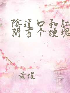 阴道口和肛门之间有个硬块