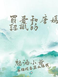 罗晋和唐嫣怎么认识的