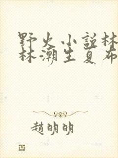 野火小说林晚晚林潮生夏布多昂笔趣阁