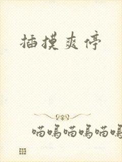 插摸爽停