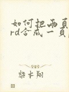 如何把两页word合成一页pdf