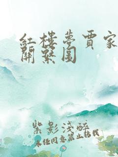 红楼梦贾家人物关系图