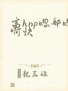 高hnp嗯哪嗯啊快