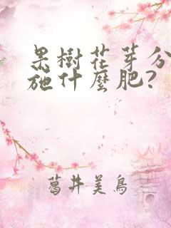 果树花芽分化期施什么肥?