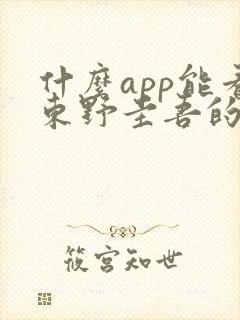 什么app能看东野圭吾的书