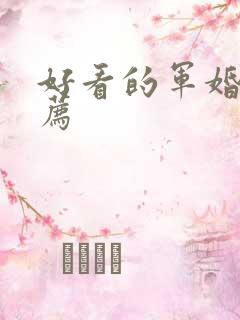 好看的军婚文推荐