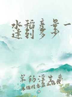 水稻产量一般能达到多少