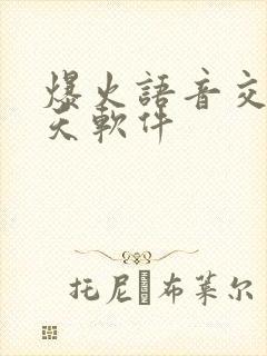 爆火语音交友聊天软件
