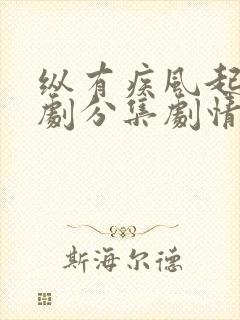纵有疾风起电视剧分集剧情介绍