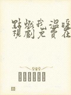 点燃我温暖你电视剧免费在线观看全集