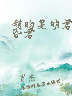 赵昀是明君还是昏君