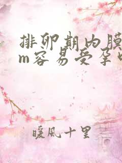 排卵期内膜9mm容易受孕吗
