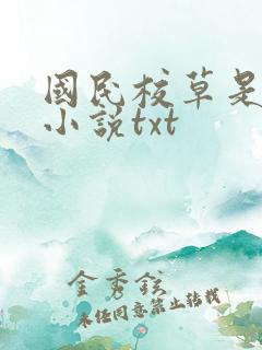 国民校草是女生小说txt