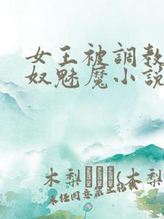 女王被调教成奶奴魅魔小说