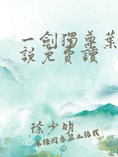 一剑独尊叶玄小说免费读