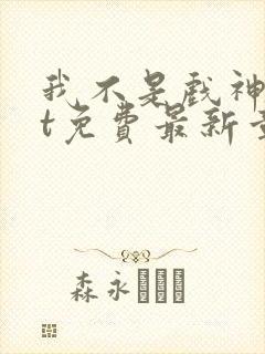 我不是戏神txt免费最新章节