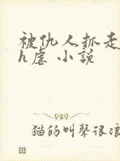 被仇人抓走囚禁h虐 小说