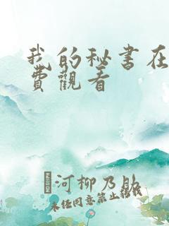 我的秘书在线免费观看