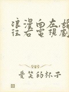 浪漫向左,婚姻往右电视剧