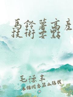马铃薯高产栽培技术要点