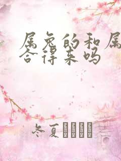 属兔的和属龙的合得来吗