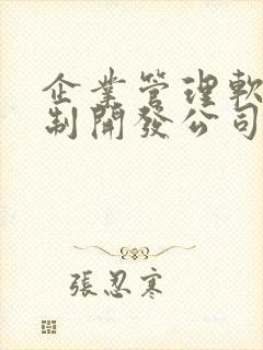 企业管理软件定制开发公司