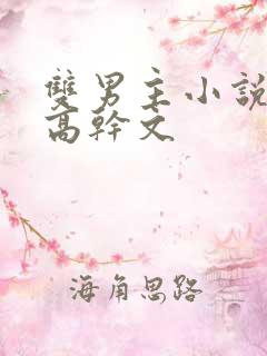 双男主小说推荐高干文