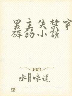 男主失禁穿纸尿裤的小说