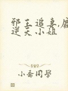 邪王追妻,废材逆天小姐