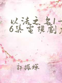 以法之名1—36集电视剧免费观